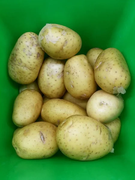Potatoes, raw, stored in a green plastic container, image