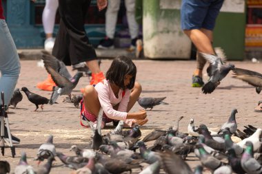 Batu Mağaraları, Malezya - Kasım 04, 2019: Asyalı küçük bir kız, Gombak Bölgesi, Selangor, Malezya 'da Batu Mağaraları yakınlarındaki güvercinleri oynuyor ve besliyor