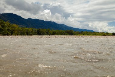 Manu Milli Parkı 'ndaki Madre de Dios Nehri' nden görülen ağaçlardan ve Amazon yağmur ormanlarından oluşan etkileyici bir nehir manzarası.