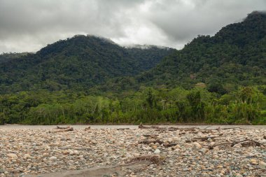 Manu Milli Parkı 'ndaki Madre de Dios nehrinin kıyısındaki dağların ve Amazon yağmur ormanlarının etkileyici manzarası.