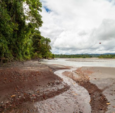 Manu Milli Parkı 'ndaki Madre de Dios nehrinin kıyısında ağaçların ve Amazon yağmur ormanlarının etkileyici manzarası.