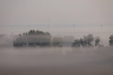 Elektrik direkleri, Ebro nehri yakınlarında, İspanya 'nın Aragon kentinde, soğuk bir gündoğumu manzarasının sisine gömüldü.