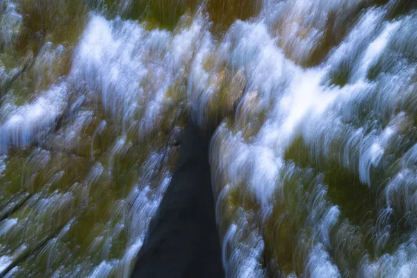 Расслабленная Абстрактная Текстура Букового Леса Осенью Склонах Горы Монкайо Арагон — стоковое фото