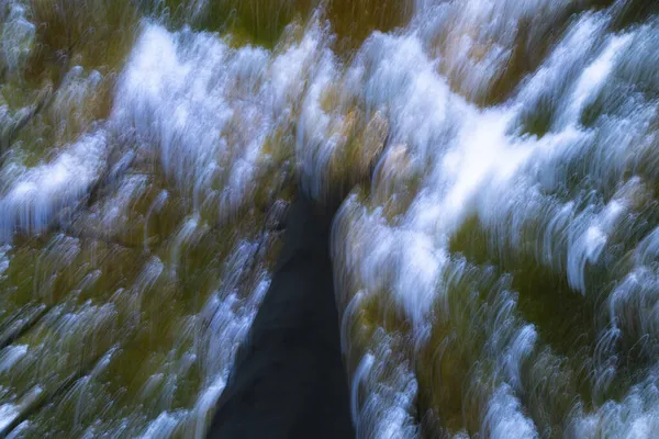 Textura Abstracta Desenfocada Bosque Hayas Otoño Las Laderas Montaña Moncayo — Foto de Stock