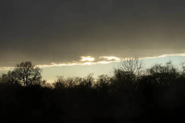 Paysage Hivernal Nuages Silhouettes Sombres Arbres Nus Coucher Soleil Depuis — Photo