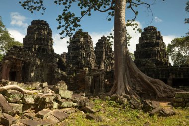 Banteay Kdei Budist Tapınağı, 12. yüzyıl, Tetrameles nudiflora örneği, Angkor Arkeoloji Parkı, Siem Reap, Kamboçya gibi bitki ve ağaçlarla çevrili.