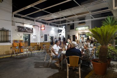 Öğle vakti güneşli çam ağaçlarının manzarası ve İspanya 'nın Cadiz ilindeki Estrecho Doğal Parkı' ndaki El Canuelo plajı.