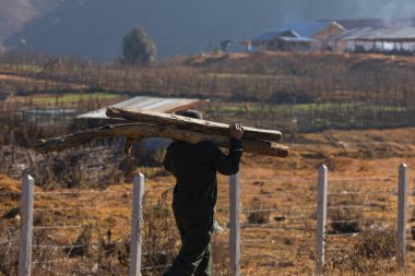 Laos 'un Laos bölgesindeki Laos' un küçük bir köyünün yakınlarında bir adam omuzlarında ağır kütükler taşıyor..