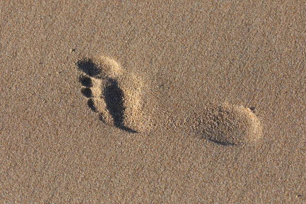 Footprint Person Sand Beach Forms Relief Full Form Thanks Strong — Stok fotoğraf