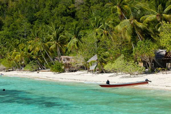 Raja Ampat, Endonezya - 05 Ekim 2019: Suyun kenarına bastırılmış verimli ve canlı bir orman arazisinde, bir adam teknesini Raja Ampat Adaları, Batı Papua, Endonezya 'da suya itiyor.