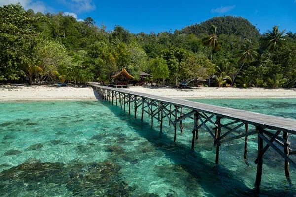 Une Passerelle Bois Relie Une Jetée Entre Les Récifs Coralliens — Photo