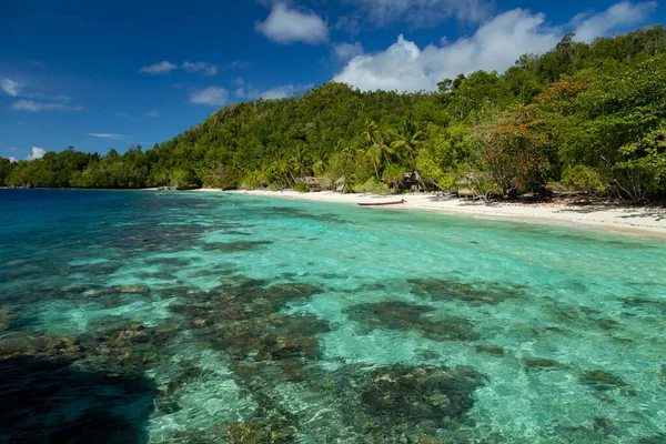 Paysage Vibrant Lumineux Jungles Luxuriantes Pressées Contre Eau Turquoise Grouillant — Photo