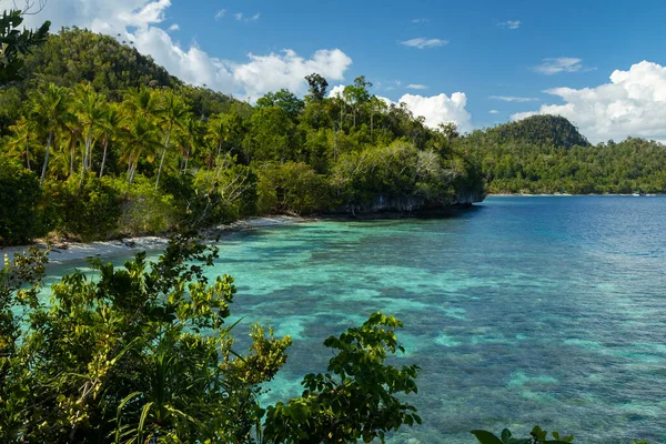 Collines Verdoyantes Montagnes Peuplées Jungles Denses Arbres Tropicaux Entourent Petites — Photo