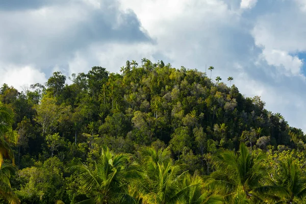 Zöld Dombok Hegyek Trópusi Fák Sűrű Dzsungelével Benépesítve Raja Ampat — Stock Fotó