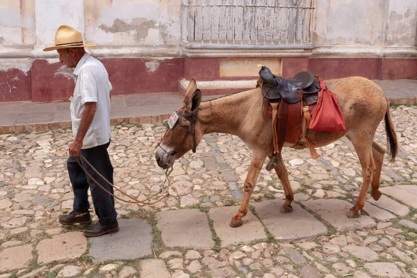 Trinidad Cuba Abril 2010 Homem Idoso Seu Burro Com Qual — Fotografia de Stock