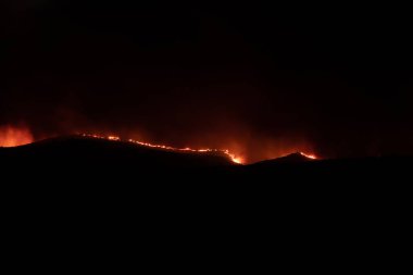 Borja, Spain - Aug 13, 2022: View of forest fire flames in the Moncayo, devouring hills and trees with virulence, thanks to hurricane force winds and drought