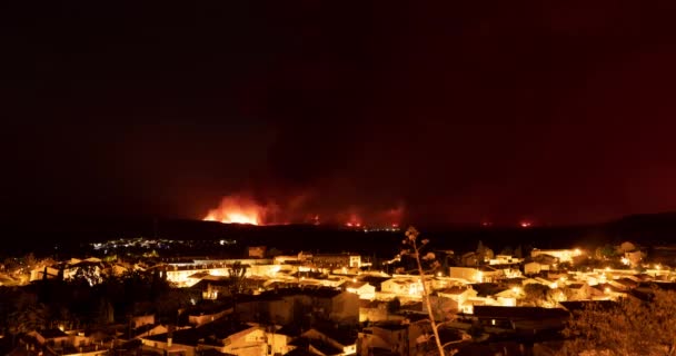View Forest Fire Flames Moncayo Area Borja Village Night Devouring — Stock Video
