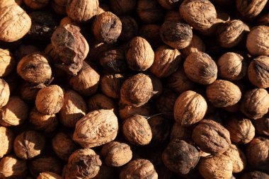 Ceviz arkaplan dokusu, kabuksuz ve işlenmemiş sağlıklı besinler, ılık sonbahar tonlarında.