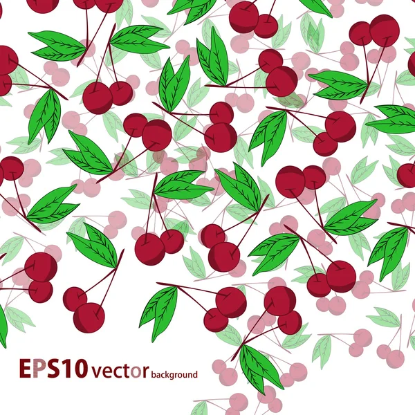 Cherry background — Stock Vector