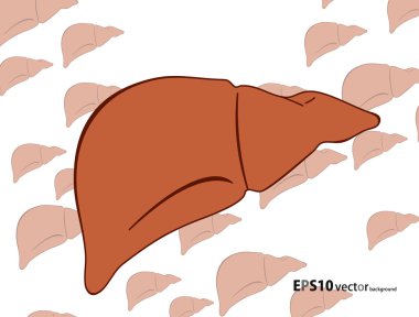 Human liver background clipart
