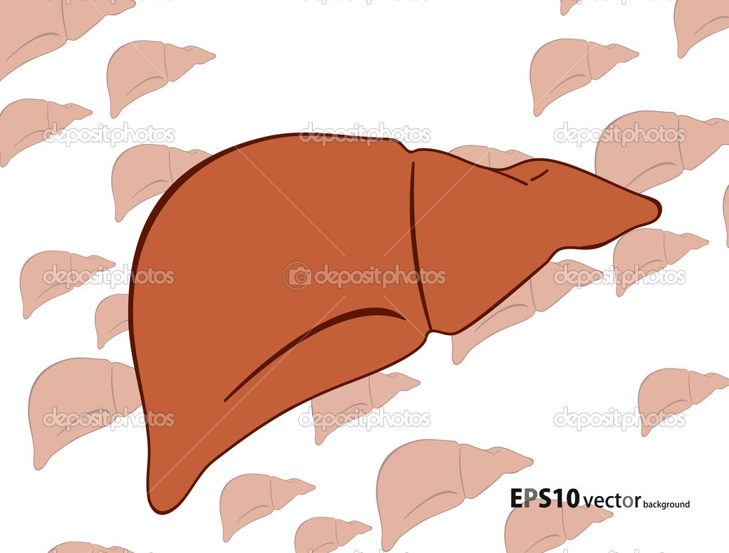 Human liver background