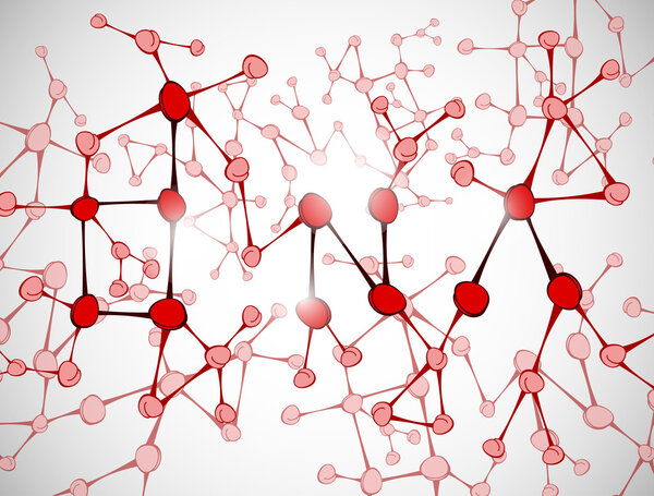 Молекула ДНК
