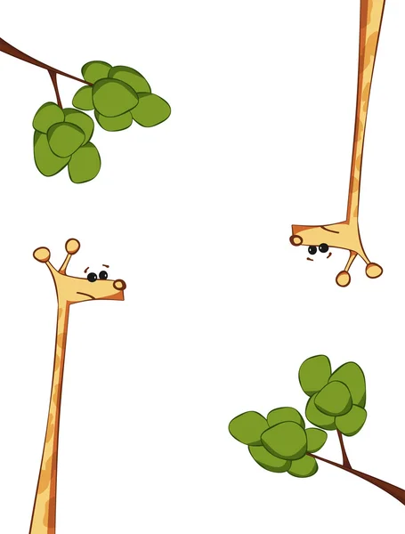 Ilustración de jirafa de dibujos animados — Vector de stock