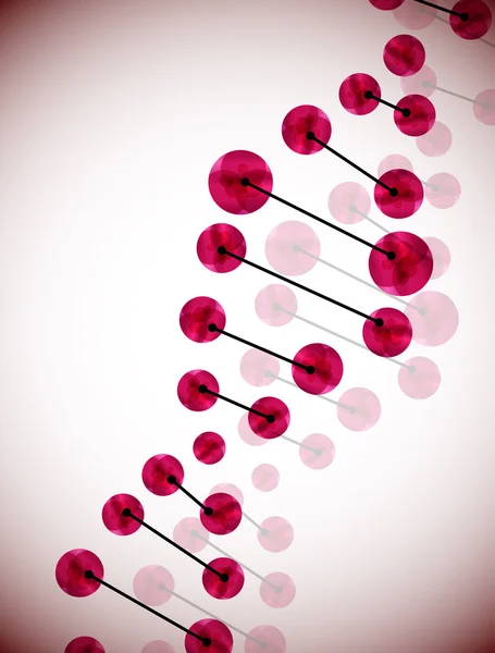 DNA molecule — Stock Vector