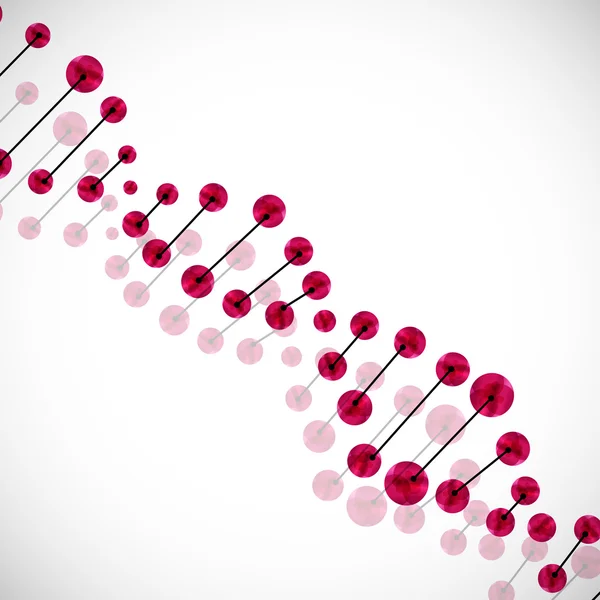 DNA molecule — Stock Vector