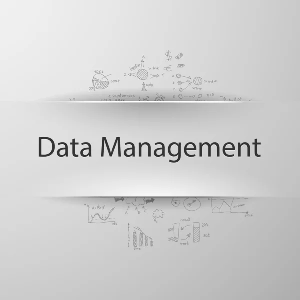 Data management — Stock Vector