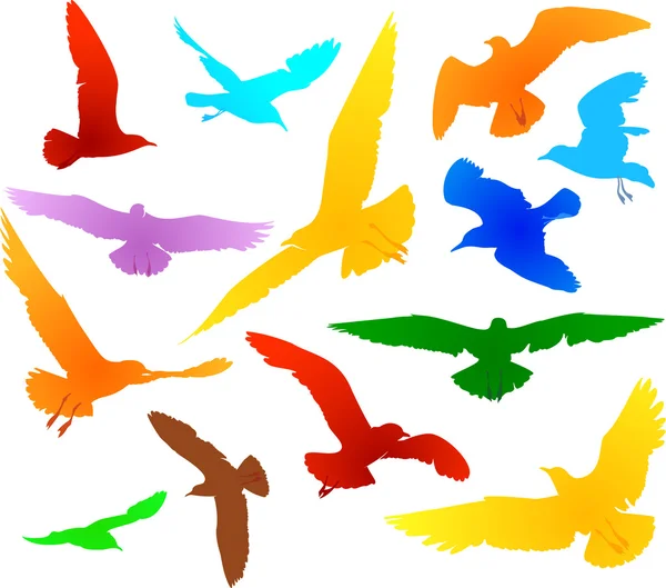 Ensemble vectoriel couleur de silhouettes de mouettes — Image vectorielle