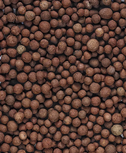 Expanded Clay Aggregate (Grow Rocks) — Stock Image Expanded Clay Aggregate (Grow Rocks) Royalty Free Stock Images
