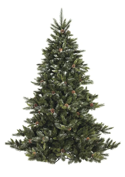 Bare Christmas tree with pine cone — Stock Photo, Image