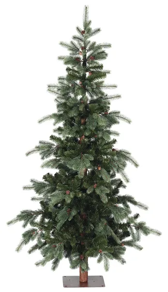 Slim bare Christmas tree with pine cone — Stock Photo, Image