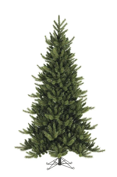 ince bir köknar ağacı