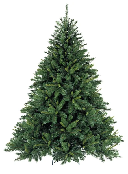 Kale kerstboom zonder decoratie Stockafbeelding