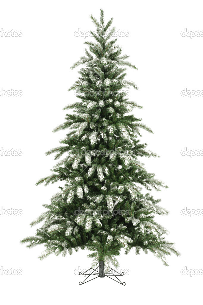 Christmas tree without ornaments on white