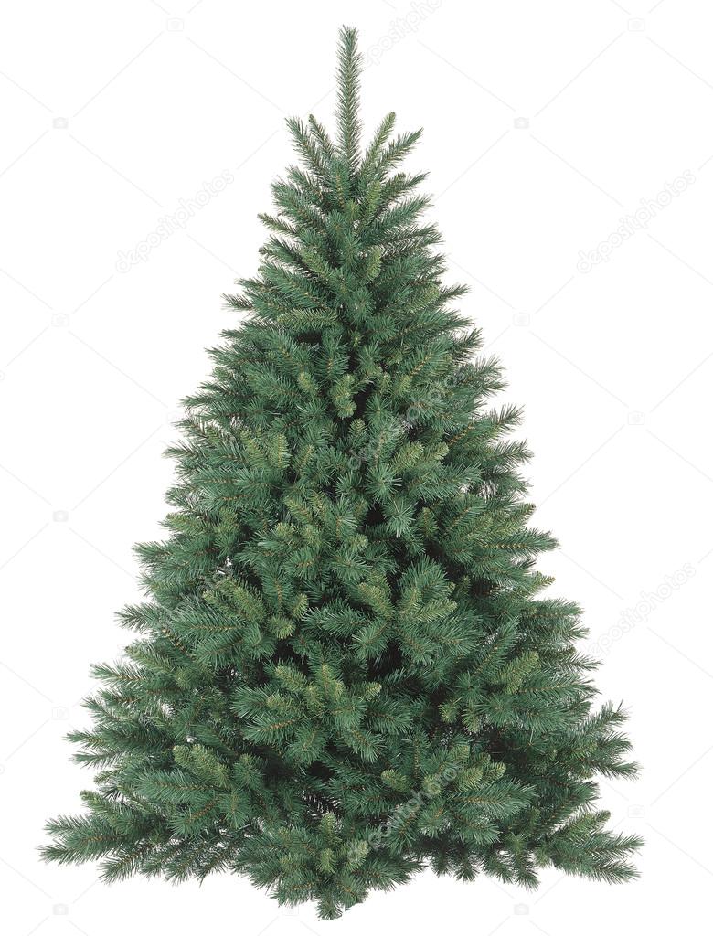 Christmas tree without ornaments