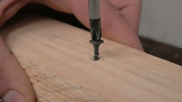 Gros plan d'une main de constructeur professionnel alors qu'il enfonce une vis dans une poutre en bois avec un tournevis.Un artisan professionnel enfonce une vis dans un bloc en bois avec un tournevis. — Video