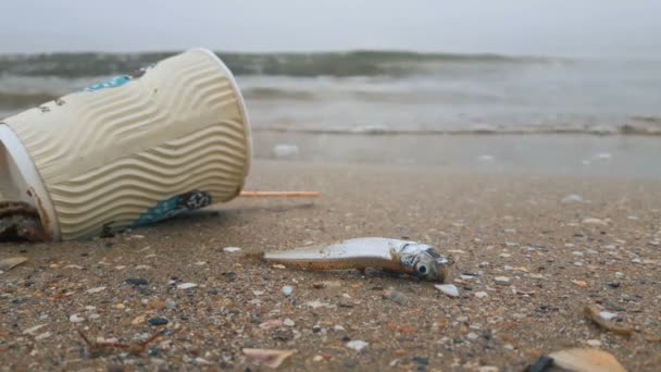 Sandstranden Beströdd Med Skräp Och Död Fisk Död Fisk Ligger — Stockvideo