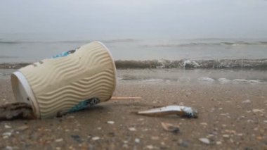Ölü bir balık kumlu bir sahilde tek kullanımlık bir bardağın ve çöpün yanında yatıyor. Kumlu sahil çöp ve ölü balıklarla dolu. Çevre felaketi. Çevre koruma kavramı.