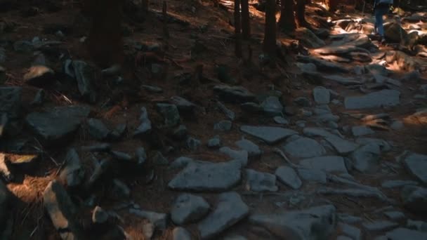 Utsikt över den steniga skogsstigen. En turist rör sig längs en stenig skogsstig. — Stockvideo