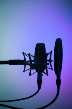 Profesyonel ses kayıt stüdyolarındaki büyük diyafram kardiyaframlı mikrofon..