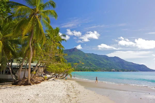 Playa de Beau Vallon 1 — Foto de Stock