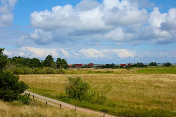 Danish Grassland — Stok fotoğraf
