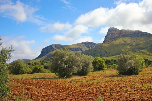Mallorcaanse veld — Stockfoto