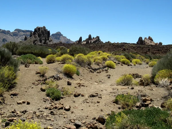 Tenerife Landscape — Stock Photo, Image