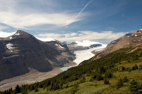 Saskatchewan-gletsjer — Stockfoto