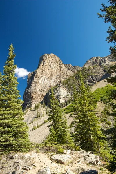 Visa på en rocky mountain — Stockfoto