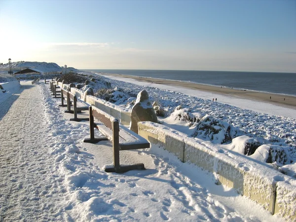 Baenke im Schnee — Stockfoto